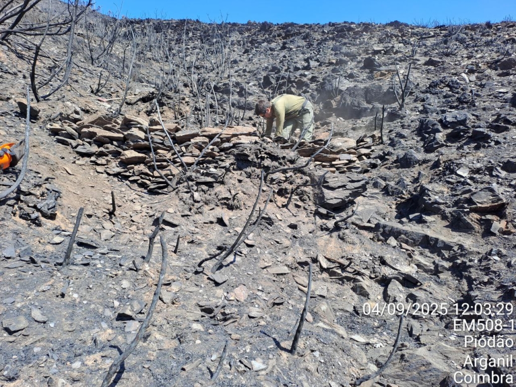 Photo 2025 09 04 19 04 26