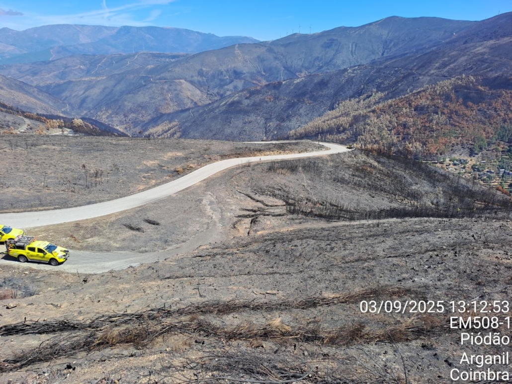 Photo 2025 09 04 19 04 30