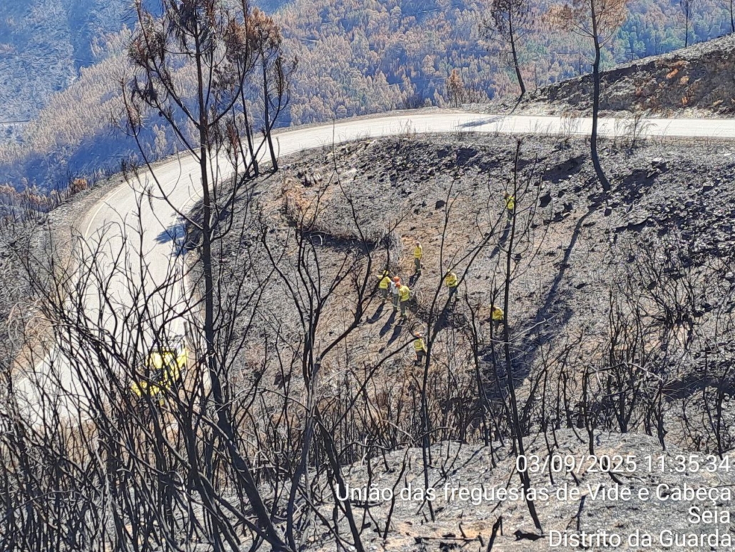 Photo 2025 09 04 19 04 31