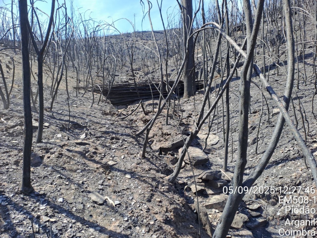 Photo 2025 09 16 18 39 22