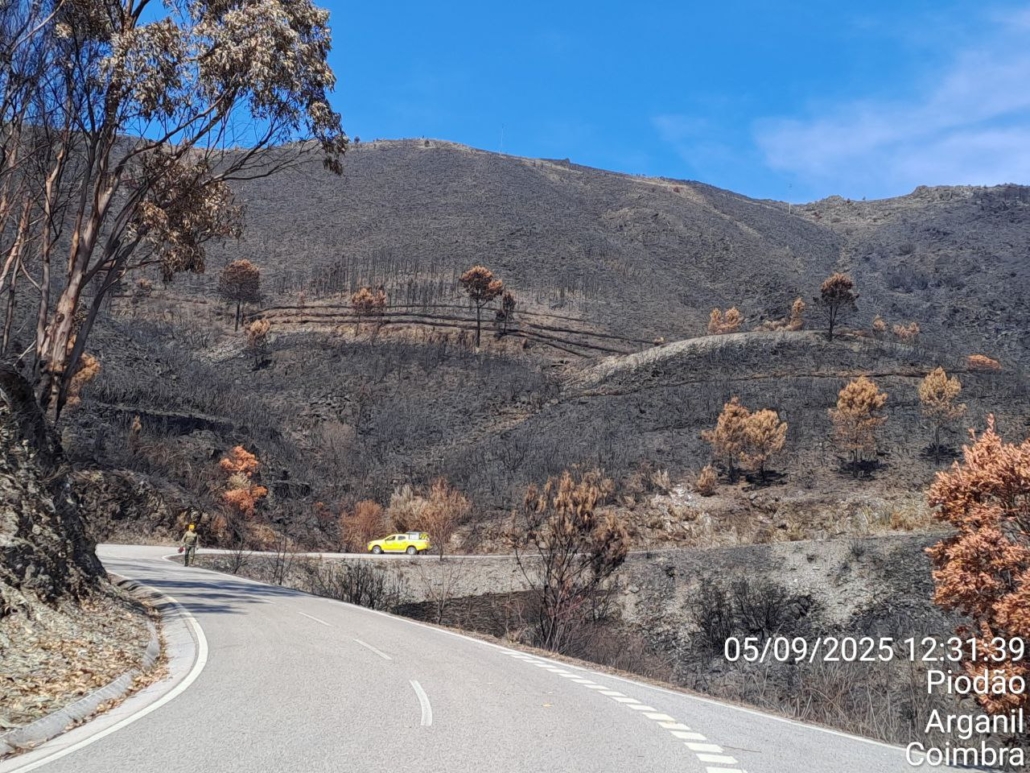 Photo 2025 09 16 18 39 35