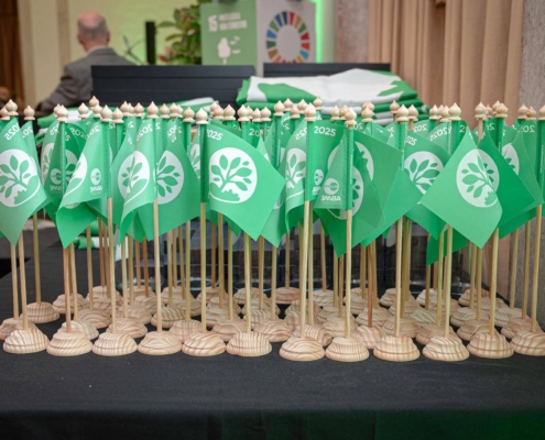 Bandeira Verde Ecoxxi 2025