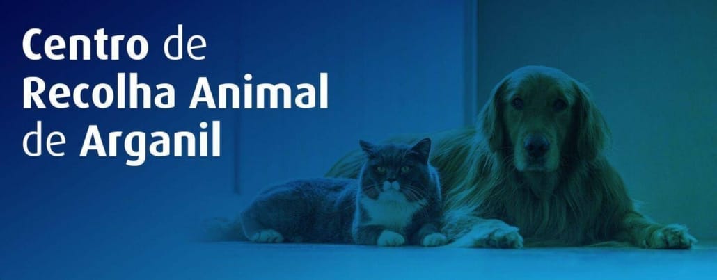 Banner Centro De Recolha Animal De Arganil Scaled