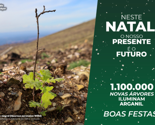 Capa Postal De Natal Cmarganil 2025 Copiar