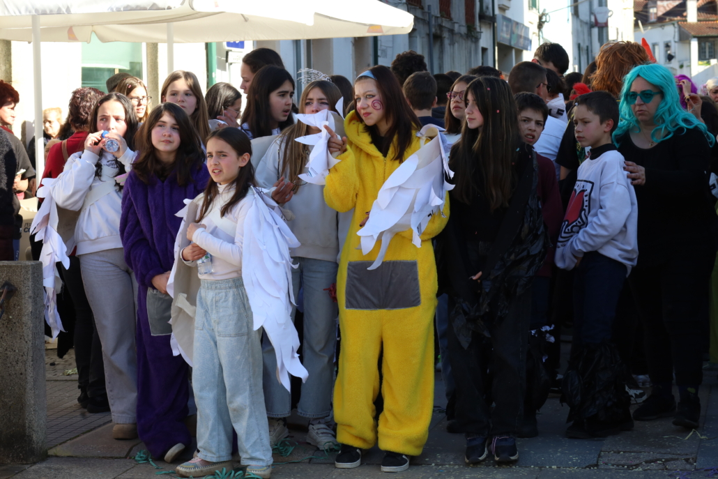 Carnaval Escolas 2026 (15)