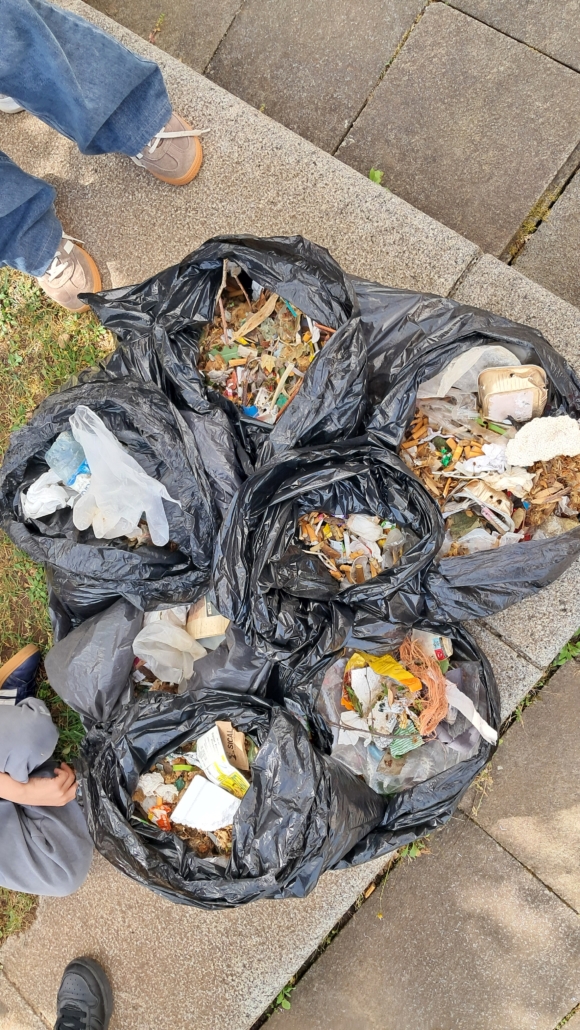 Educação Ambiental (6)