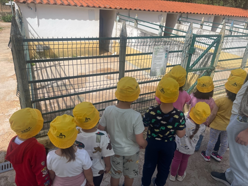 Processed D5896131 8055 44a0 8024 66abf603a67b