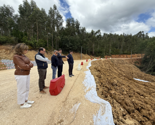 Estrada Sarnadela Vale Diogo