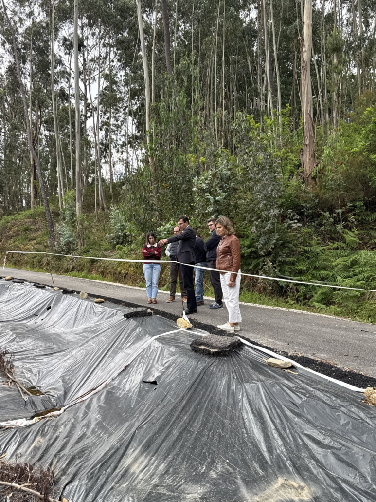 Estrada De Acesso A Alcaria