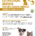 Campanha Esterelização Centro Animal 2026