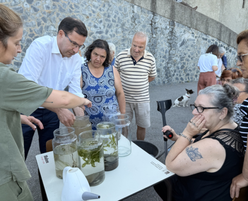 Lavadouros Cepos11