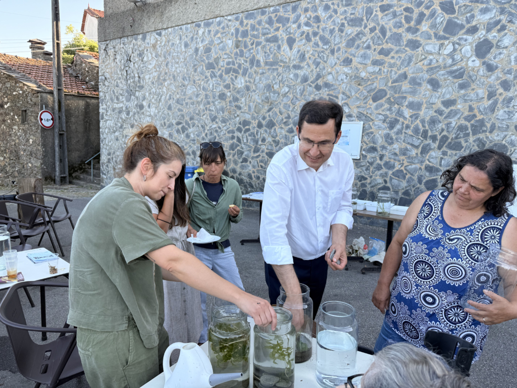 Lavadouros Cepos12