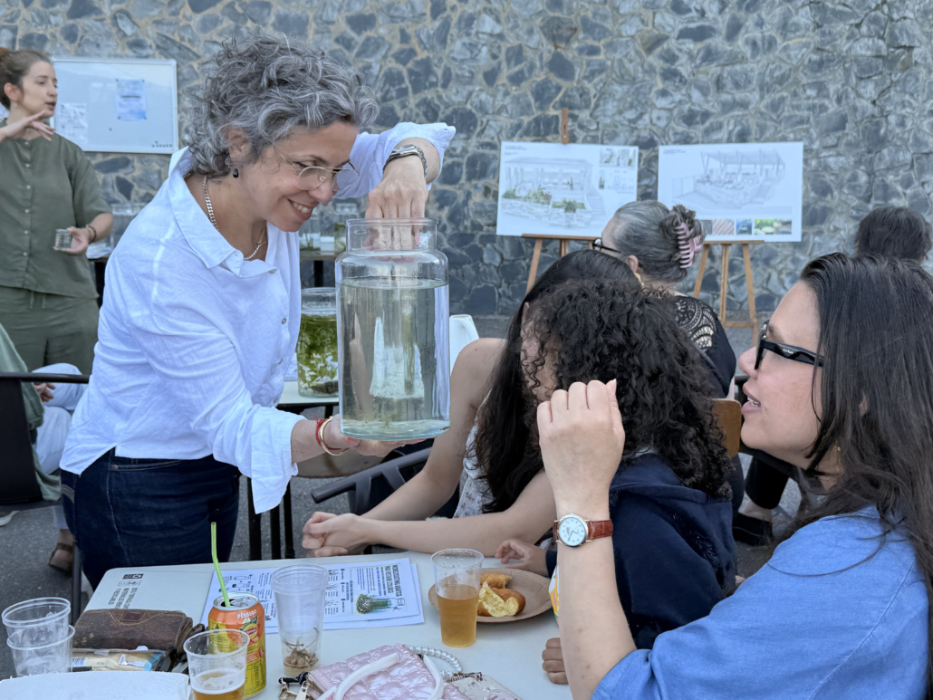 Lavadouros Cepos16