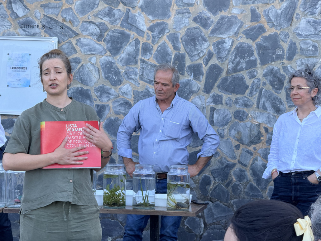 Lavadouros Cepos19