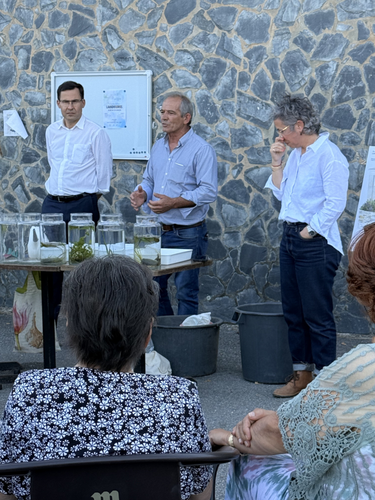 Lavadouros Cepos21