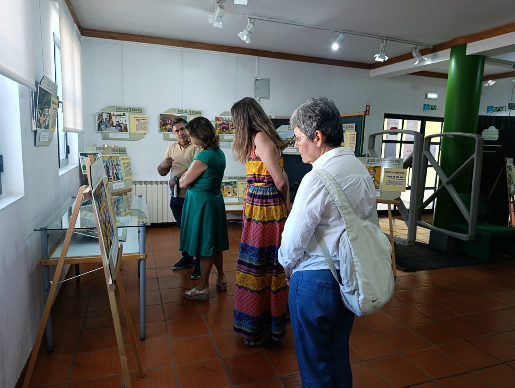 Exposição Vide