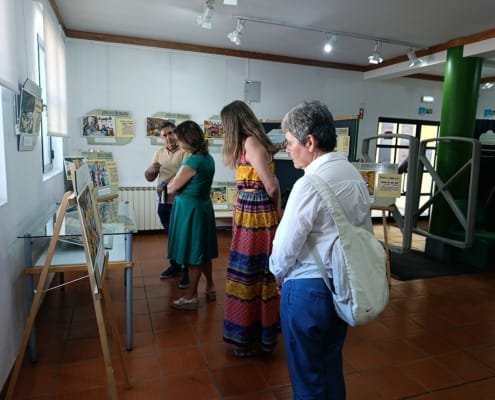 Exposição Vide