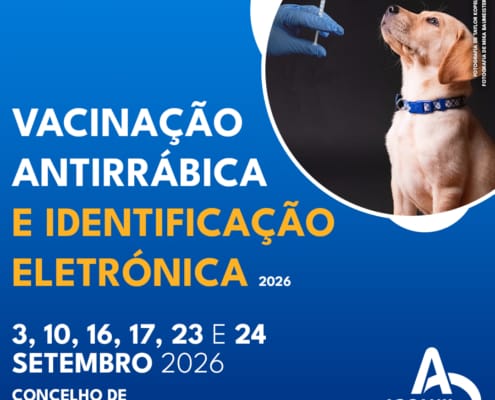 Campanha De Vacinação Antirrábica 2026