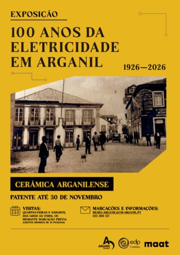 Cartaz Exposição 100 Anos De Eletricidade Em Arganil