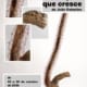 Cresce