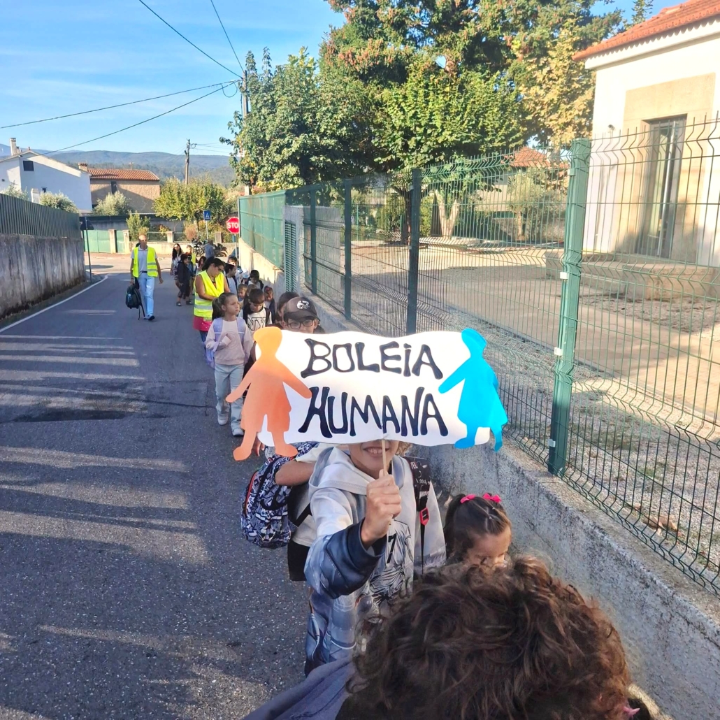 Sarzedo (5)