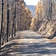 Imagem1 Patrim 20250826 160630